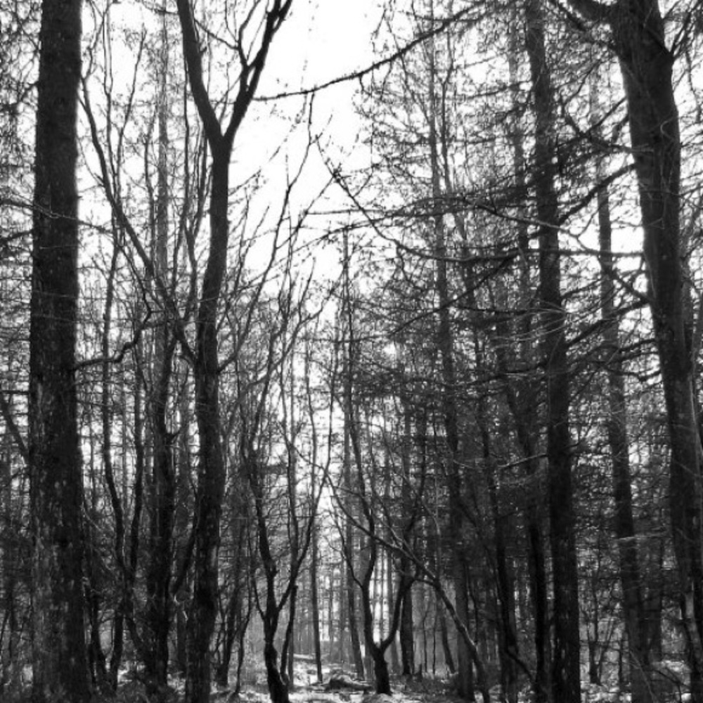 Everything Must Go!!!!